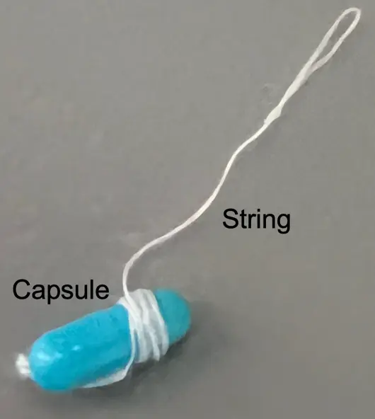 Figure 1: Capsule Diagram