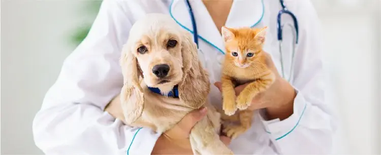 Veterinary Sample Collection