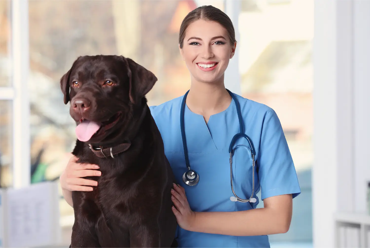 Vet and patient