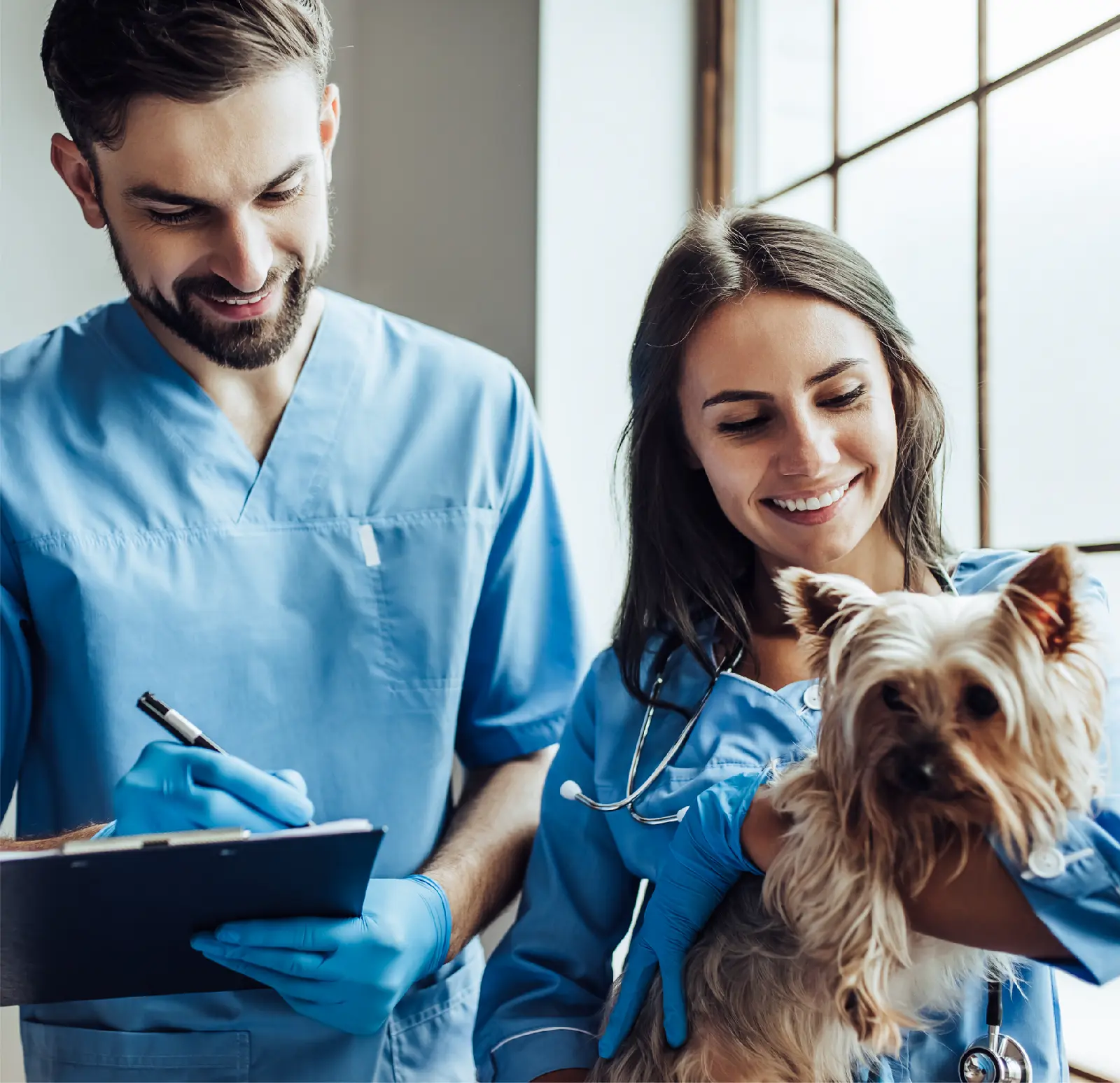 Veterinary Sample Collection