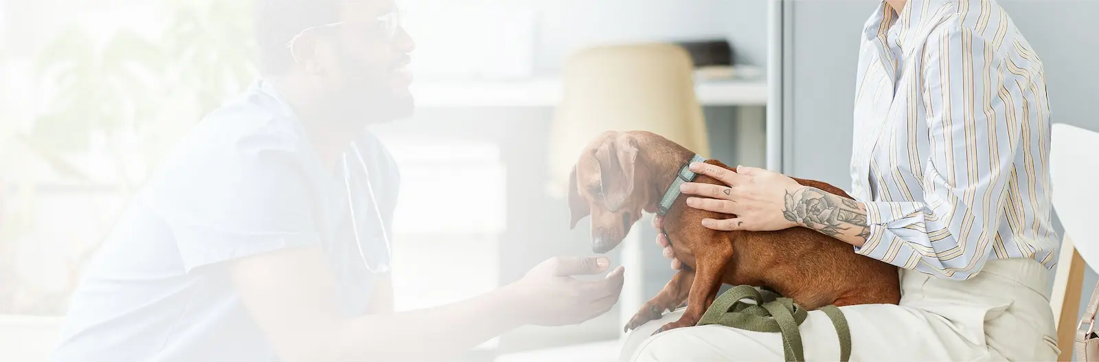 Veterinarian Hero