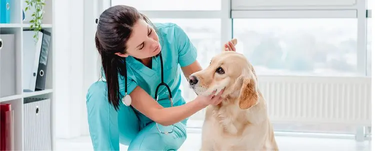 Veterinary Sample Collection